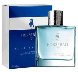 Horseball Blue Leather tualetinis vanduo vyrams EDT 100 ml kaina ir informacija | Kvepalai vyrams | pigu.lt