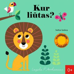 Kur liūtas? цена и информация | Книги для детей | pigu.lt