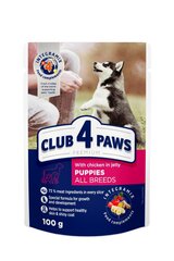 CLUB 4 PAWS Premium visavertis konservuotas ėdalas šuniukams su vištiena drebučiuose, 100 g x 20 vnt. + 4 vnt. Bonus kaina ir informacija | Konservai šunims | pigu.lt