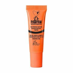 Lūpų balzamas su atspalviu Dr. PawPaw Outrageous Orange, 10 ml kaina ir informacija | Lūpų dažai, blizgiai, balzamai, vazelinai | pigu.lt