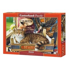 Dėlionė Castorland Katinas 500 det. kaina ir informacija | Dėlionės (puzzle) | pigu.lt