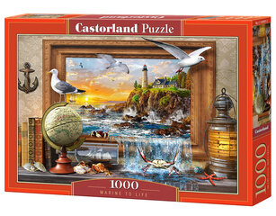 Dėlionė Castorland Puzzle Marine to Life, 1000 d. kaina ir informacija | Dėlionės (puzzle) | pigu.lt