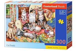 Dėlionė Castorland Keturi kačiukai, 300 d. kaina ir informacija | Dėlionės (puzzle) | pigu.lt