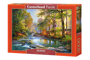 Пазл Castorland Puzzle Цветная река 3000 дет. цена и информация | Пазлы | pigu.lt