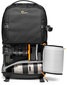 Lowepro BP 250 AW III kaina ir informacija | Dėklai, krepšiai fotoaparatams ir objektyvams | pigu.lt