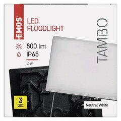 LED prožektorius Tambo 10 W, 1 vnt. kaina ir informacija | Žibintuvėliai, prožektoriai | pigu.lt