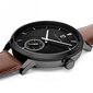 Vyriškas laikrodis Pierre Lannier Allure 242C434 kaina ir informacija | Vyriški laikrodžiai | pigu.lt