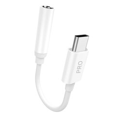 Dudao Converter L16CPro USB C Type 3.5 mm kaina ir informacija | Laidai telefonams | pigu.lt