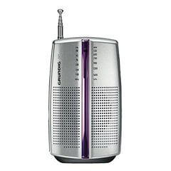 Grundig City 31 PR 3201 цена и информация | Радиоприемники и будильники | pigu.lt