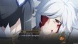 Is It Wrong To Try To Pick Up Girls in A Dungeon? Infinite Combate PS4 kaina ir informacija | Kompiuteriniai žaidimai | pigu.lt