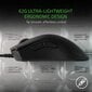 Razer DeathAdder V2 Mini, juoda kaina ir informacija | Pelės | pigu.lt