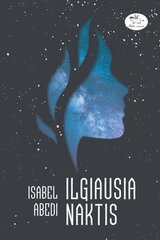 Ilgiausia naktis цена и информация | Книги для подростков и молодежи | pigu.lt