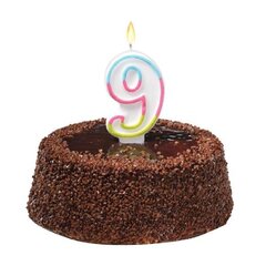 Susy Card gimtadienio žvakė, Nr. 9, spalvinga, 9 cm kaina ir informacija | Dekoracijos šventėms | pigu.lt