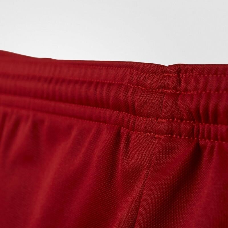 Adidas šortai vyrams AJ5881, raudoni kaina ir informacija | Vyriški šortai | pigu.lt