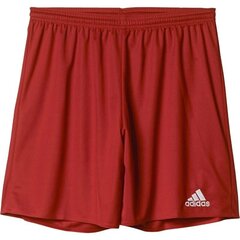 Мужские шорты ADIDAS PERFORMANCE PARMA 16 SHORT AJ5881 цена и информация | Мужские шорты | pigu.lt