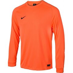 Nike vyriškas džemperis Park Goalie II LS M 588418-803, 43217, oranžinis kaina ir informacija | Džemperiai vyrams | pigu.lt