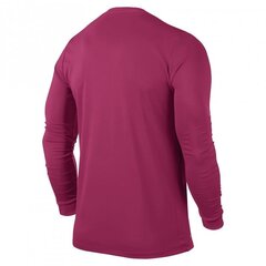 Мужская спортивная футболка Nike Park VI LS M 725884-616, 43255 цена и информация | Мужская спортивная одежда | pigu.lt