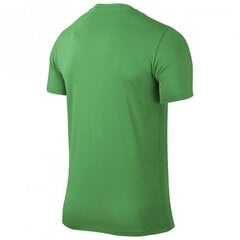 Спортивная футболка для мальчиков Nike Park VI Junior 725984-303, 43259, зеленая цена и информация | Рубашки для мальчиков | pigu.lt