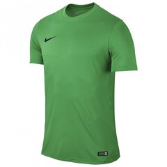 Sportiniai marškinėliai berniukams Nike Park VI Junior 725984-303, 43259, žali kaina ir informacija | Marškinėliai berniukams | pigu.lt