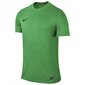 Sportiniai marškinėliai berniukams Nike Park VI Junior 725984-303, 43259, žali kaina ir informacija | Marškinėliai berniukams | pigu.lt