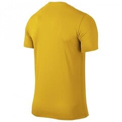 Спортивная футболка для мальчиков Nike Park VI Junior 725984-739, 43265, желтая цена и информация | Рубашки для мальчиков | pigu.lt