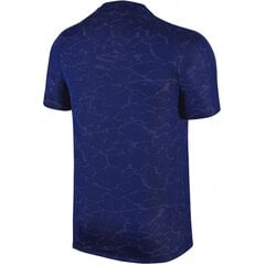 Мужская спортивная футболка Nike Flash CR7 M 777544-455 (43287) цена и информация | Мужская спортивная одежда | pigu.lt