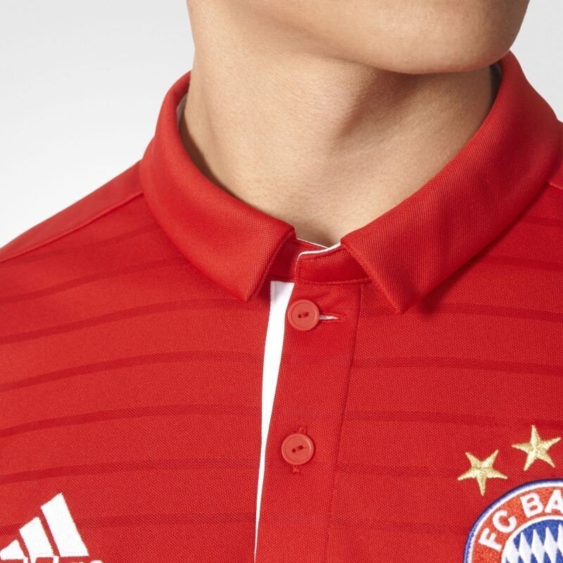 Marškinėliai vyrams Adidas FC Bayern Munchen Home, raudoni kaina ir informacija | Sportinė apranga vyrams | pigu.lt