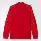 Džemperis vyrams Adidas Condivo 16 Training M, raudonas kaina ir informacija | Džemperiai vyrams | pigu.lt