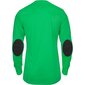 Vartininko marškinėliai Adidas Assita 17 Junior, žali kaina ir informacija | Futbolo apranga ir kitos prekės | pigu.lt
