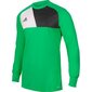 Vartininko marškinėliai Adidas Assita 17 Junior, žali kaina ir informacija | Futbolo apranga ir kitos prekės | pigu.lt