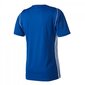 Marškinėliai vyrams Adidas Tiro 17, mėlyni цена и информация | Sportinė apranga vyrams | pigu.lt