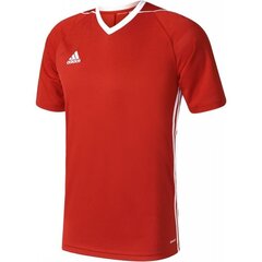 Футболка для мужчин Adidas Tiro 17, красная цена и информация | Мужская спортивная одежда | pigu.lt