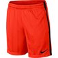 Sportiniai šortai berniukams Nike Dry Squad Jacquard Junior 870121- 852 kaina ir informacija | Šortai berniukams | pigu.lt