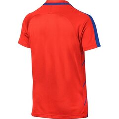 Спортивная футболка для мальчиков Nike Dry Squad Junior 833008- 852 (43578) цена и информация | Рубашки для мальчиков | pigu.lt