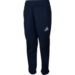 Спортивные штаны для мальчиков Adidas Tiro 17 Junior, синие цена и информация | Спортивные штаны для мальчиков | pigu.lt