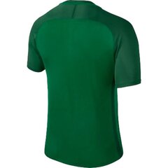 Мужская спортивная футболка Nike Dry Trophy III M 881483-302, 43639 цена и информация | Мужские термобрюки, темно-синие, SMA61007 | pigu.lt