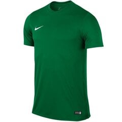 Спортивная футболка для мальчиков Nike Park VI Junior 725984-302, 44042, зеленая цена и информация | Рубашки для мальчиков | pigu.lt