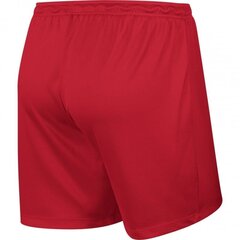Sportiniai šortai moterims Nike Park Knit Short NB W 833053-657, raudoni kaina ir informacija | Sportinė apranga moterims | pigu.lt