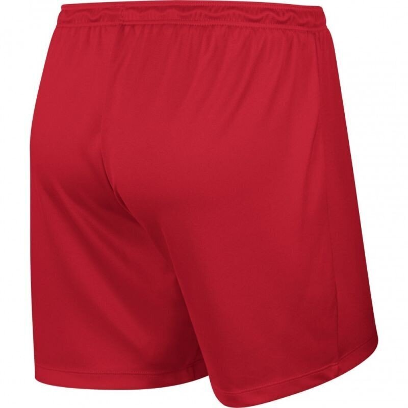 Sportiniai šortai moterims Nike Park Knit Short NB W 833053-657, raudoni цена и информация | Sportinė apranga moterims | pigu.lt