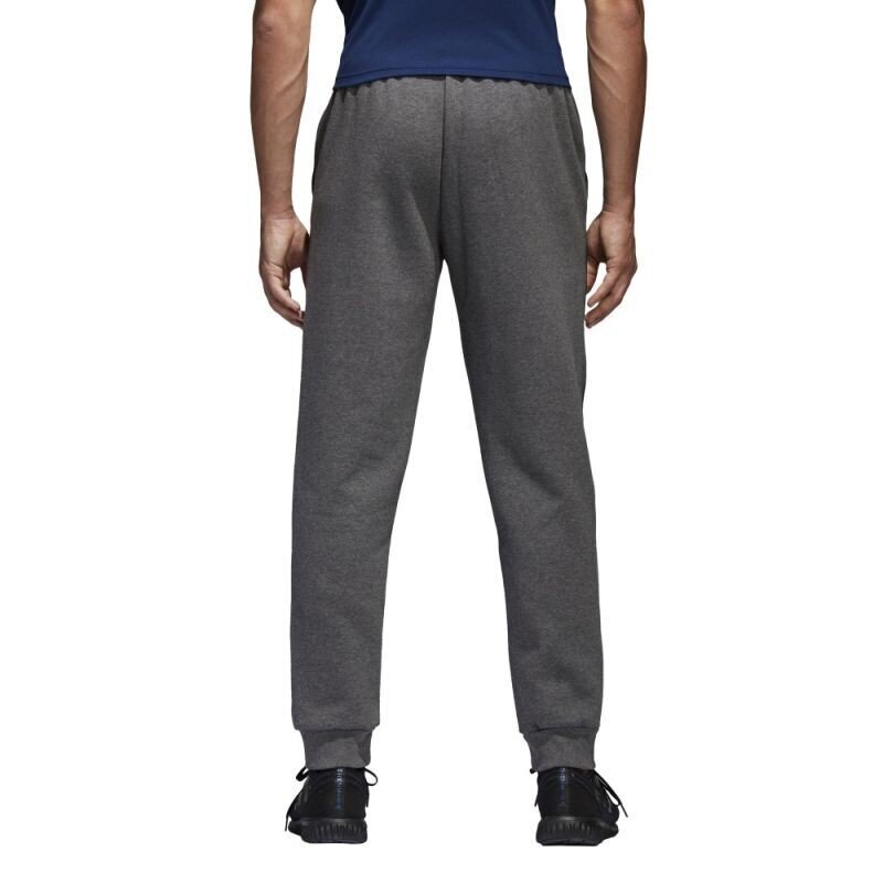 Sportinės kelnės vyrams Adidas Core 18, pilkos kaina ir informacija | Sportinė apranga vyrams | pigu.lt