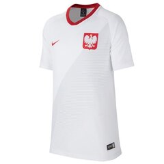 Nike рубашка спортивная мужская Poland Breathe Top Home Jr 894013 100, белая цена и информация | Мужские термобрюки, темно-синие, SMA61007 | pigu.lt