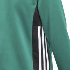 Džemperis Adidas Regista 18 Pes JKT Junior DJ2176, 44530 kaina ir informacija | Megztiniai, bluzonai, švarkai berniukams | pigu.lt