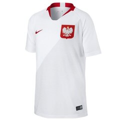 Детская спортивная футболка Nike Stadium Home Junior Polish Team цена и информация | Рубашки для мальчиков | pigu.lt