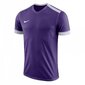 Sportiniai marškinėliai vyrams Nike Park Derby II M 894312-547, 44762, violetiniai kaina ir informacija | Sportinė apranga vyrams | pigu.lt