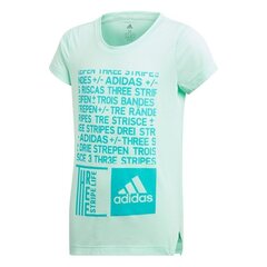 Спортивная футболка для мальчиков Adidas YG Graph Tee Junior DJ1093 цена и информация | Рубашки для мальчиков | pigu.lt