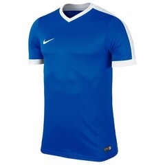 Sportiniai marškinėliai vyrams Nike Striker IV M 725892-463 цена и информация | Мужская спортивная одежда | pigu.lt