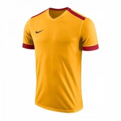 Мужская спортивная футболка Nike Park Derby II M 894312-739 цена и информация | Мужская спортивная одежда | pigu.lt