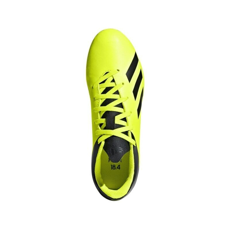 Futbolo bateliai Adidas X 18.4 FxG Jr DB2420 (44912) kaina ir informacija | Futbolo bateliai | pigu.lt