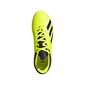 Futbolo bateliai Adidas X 18.4 FxG Jr DB2420 (44912) kaina ir informacija | Futbolo bateliai | pigu.lt