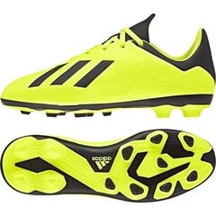 Futbolo bateliai Adidas X 18.4 FxG Jr DB2420 (44912) цена и информация | Футбольные бутсы | pigu.lt